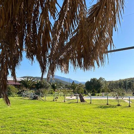 Agriturismo Su Niu Uta 外观 照片