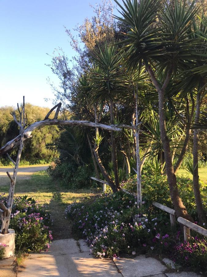 Agriturismo Su Niu Uta 外观 照片